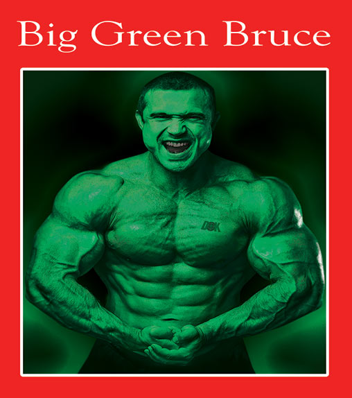 Big Green Bruce - 1 Gallon - House Wash Soap